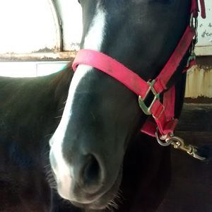 Meet your Posher, Heather